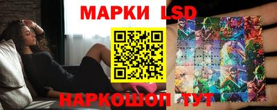 шишки Заволжье