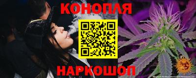 шишки Заволжье