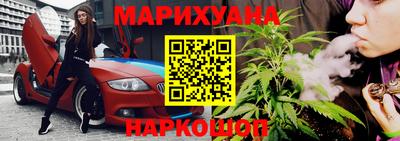 шишки Заволжье