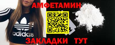 шишки Заволжье