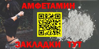 шишки Заволжье