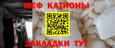 шишки Заволжье