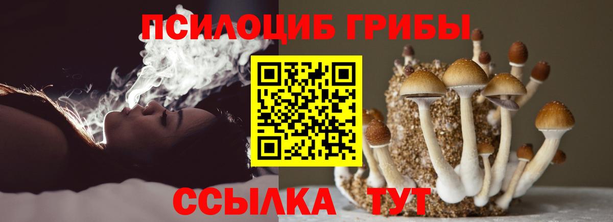 Псилоцибиновые грибы прущие грибы Моздок